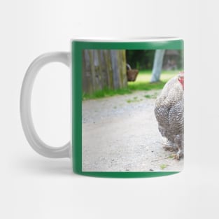 Cochin chicken Mug